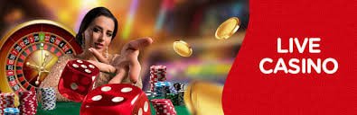 880 Sports Betting Guide — Cricket & Football Betting